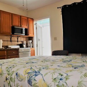 Studio de Luxe Lit Queen-Size